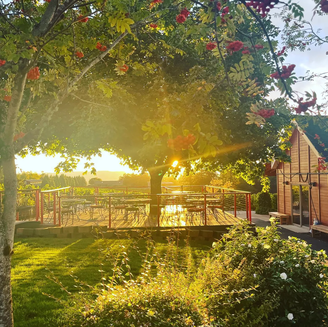 Archer Vineyard