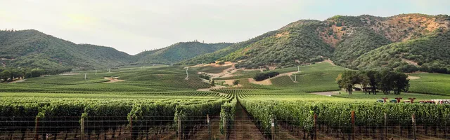 Del Rio Vineyards