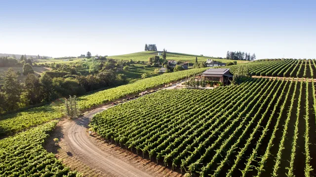 Dusky Goose Rambouillet Estate Tasting Room