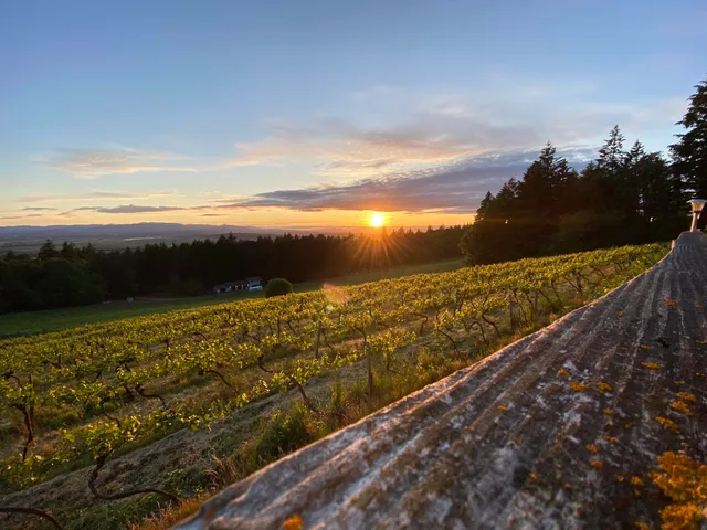 Kathken Vineyards
