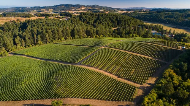 Patricia Green Cellars