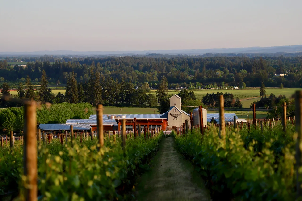 Stoller Family Estate