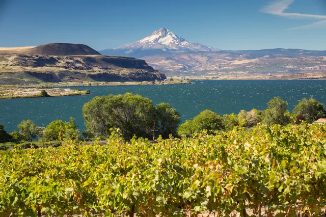 Jacob Williams Winery