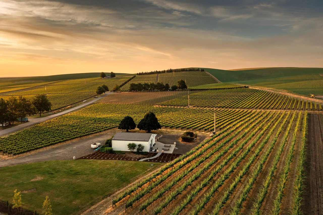 Doubleback Winery