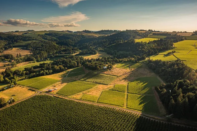 Bledsoe Family Winery – Walla Walla