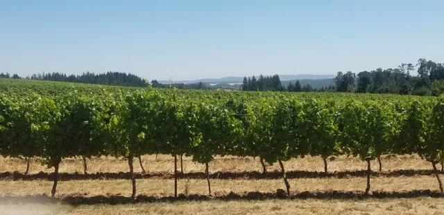 Wetzel Estate