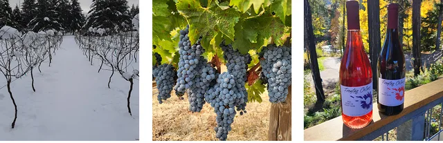 Freytag Cellars