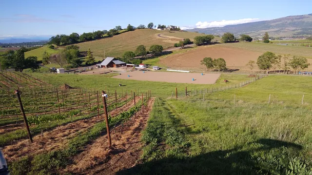 Tesoro Equine and Vine